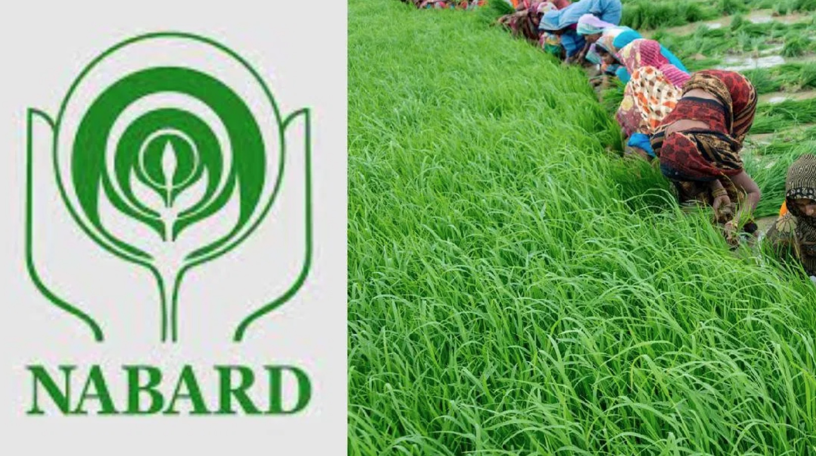 Nabard 1oth pass jobs