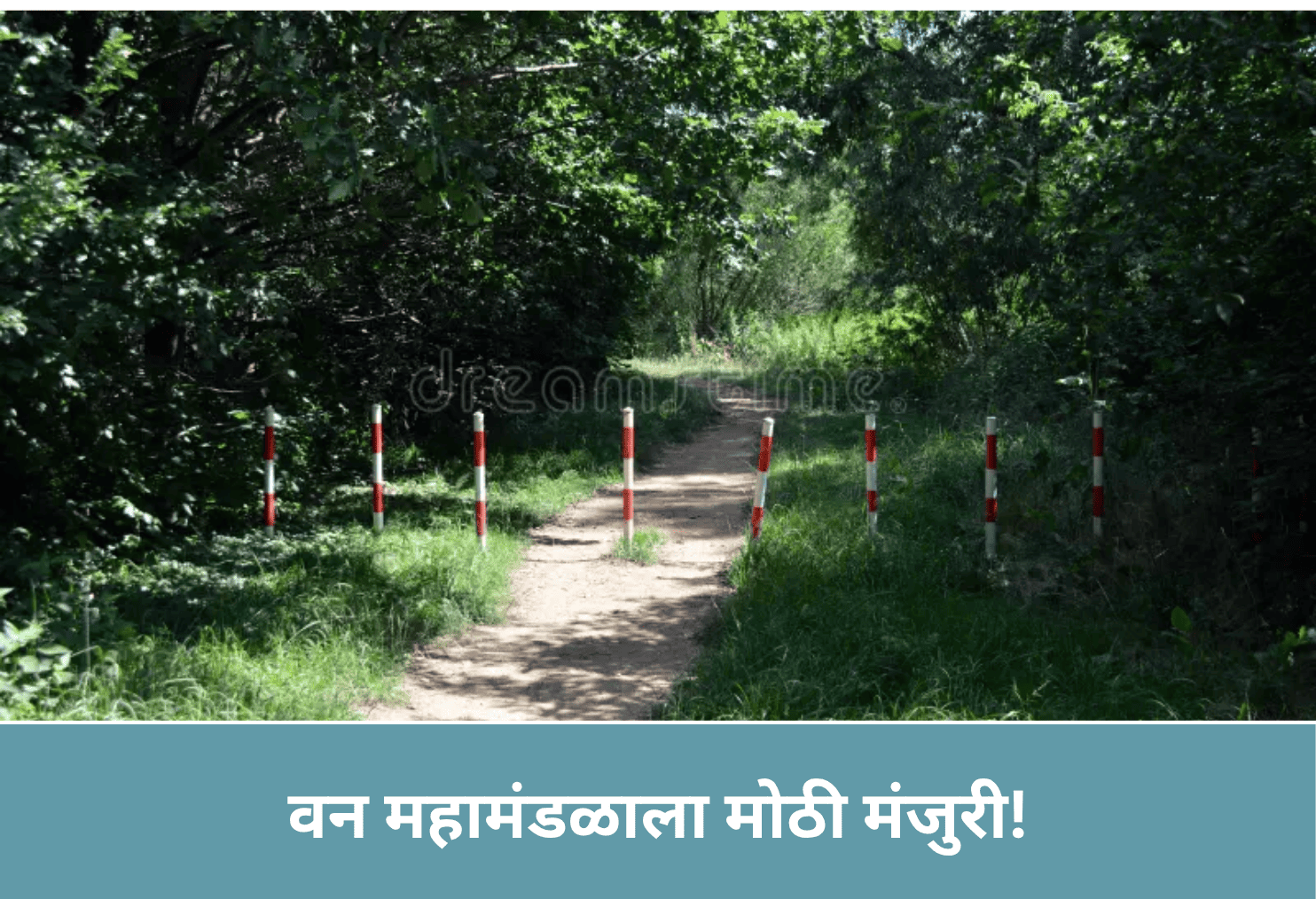 Big Nod for Forest Board!