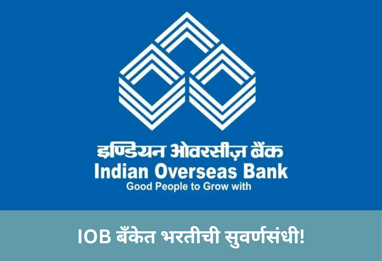 IOB Bank Jobs Golden Chance!