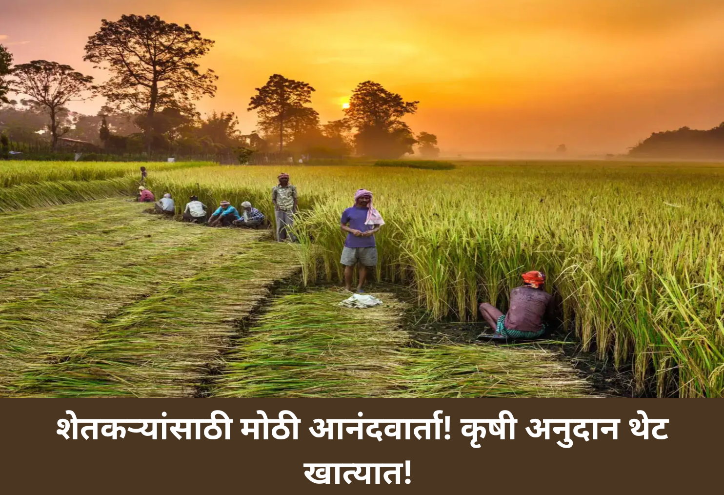 Kisan Direct Grant: Big Relief!