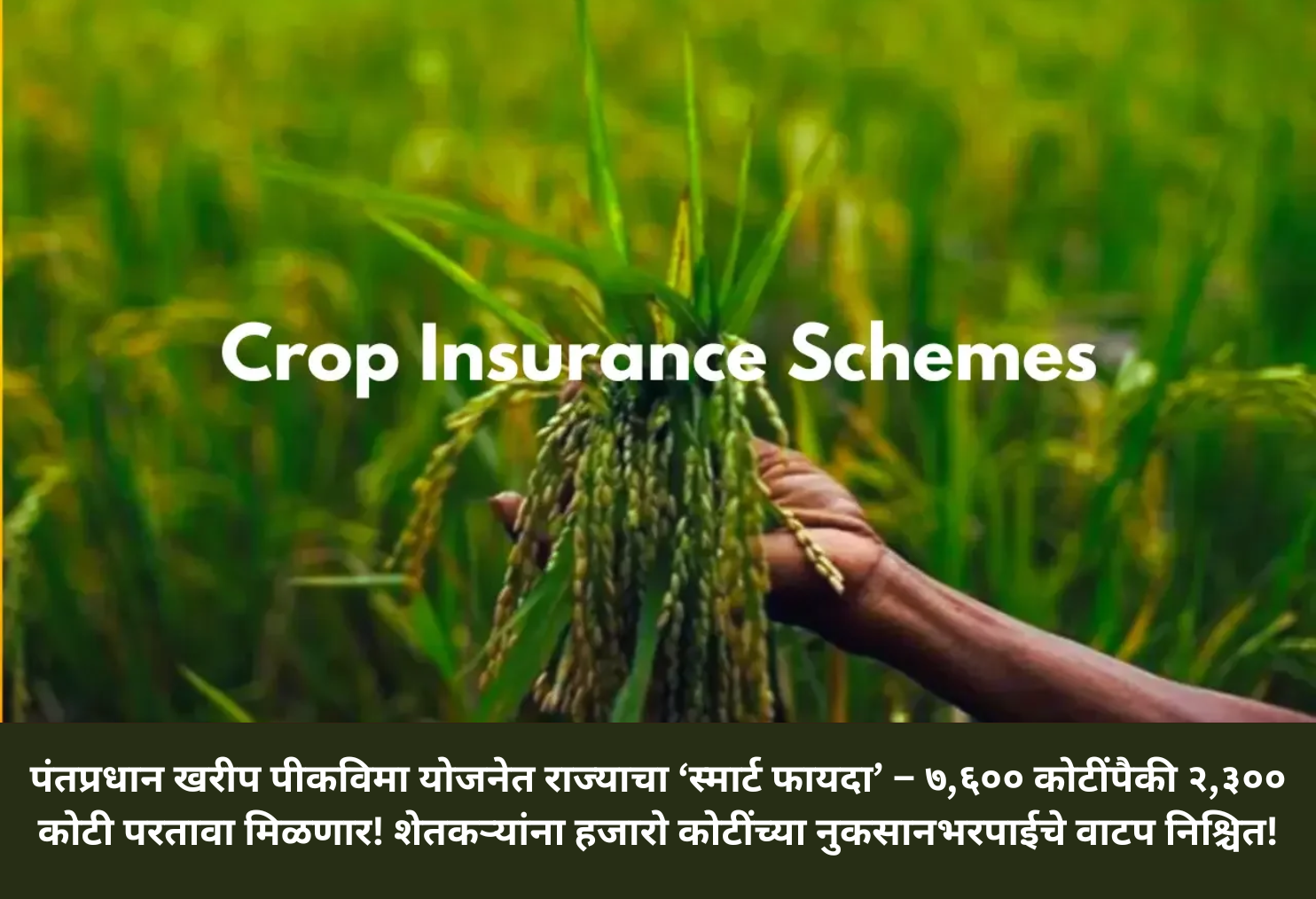 Crop Insurance: ₹2300 Cr Gain for State!