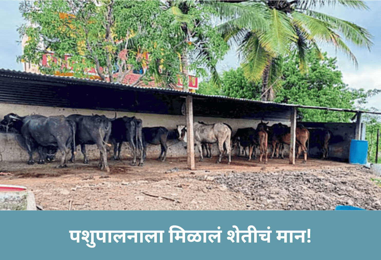 Animal Farming Now Agri-Tagged!
